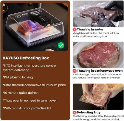 USB-Rechargeable Meat Defrosting Box with Lid