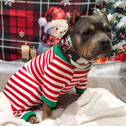 The Harley Limited Collar